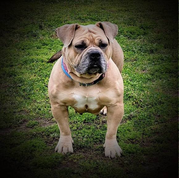 Meet your Posher, Kevin - Picture 1 of 1